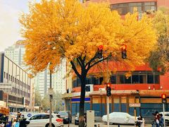 -元大都城垣遗址公园