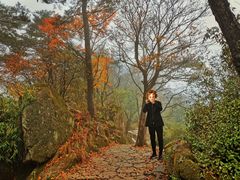 -洛阳白云山景区