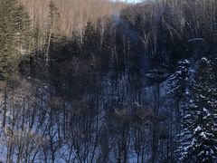 -峡谷浮石林景区