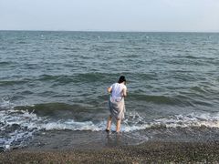 -大连蚂蚁岛度假区