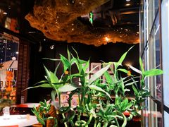-顶特勒·黄鱼馆·特色菜(上海大世界店)