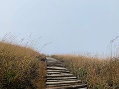 -萍乡武功山风景名胜区
