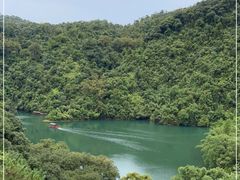 -鼎湖山风景区