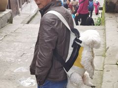 -恩阳古镇
