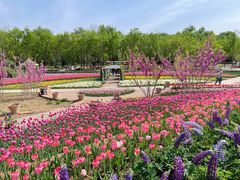 -石家庄市植物园