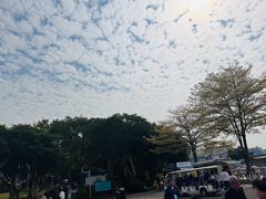 -鼓浪屿内厝澳码头(轮渡站)