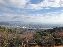 -岚山猴子公园