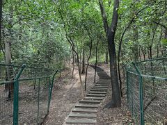 -紫金山山顶公园