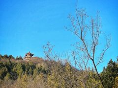 -白水寺森林公园