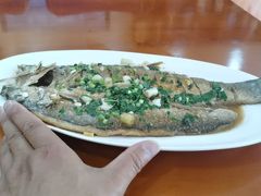 -漁耕小厨农家院(武当山店)