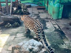 -昆明动物园