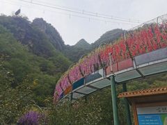 -十渡东湖港风景区