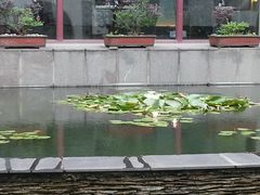 android_upload_pic-苏州吴宫泛太平洋酒店
