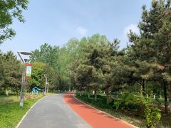 -大兴滨河森林公园