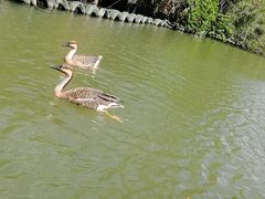 -长鹿旅游休博园
