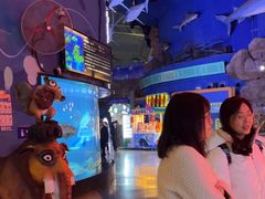 -烟台海昌鲸鲨海洋公园