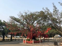 -南沙天后宫景区