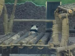 -黔灵山公园