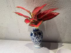 -晓粤·惹味粤菜(凯德乐峰广场店)