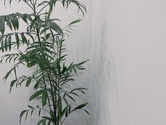 -浆木咖啡馆(湘子庙街店)