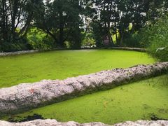 -成都市活水公园