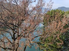 -溪口-滕头旅游景区