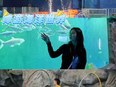 -威海华夏城景区