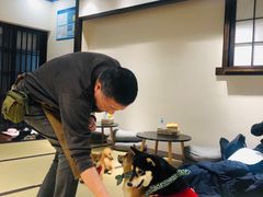 -逗柴咖啡屋·狗咖猫咖宠物桌游