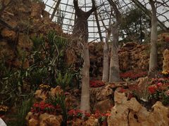 -南通洲际绿博园