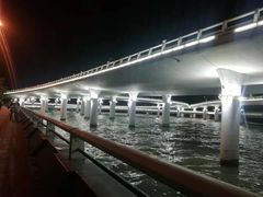 -演武大桥观景平台