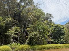 -热带雨林自然公园