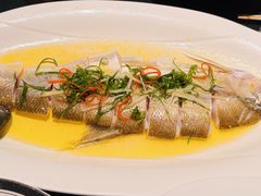 鸡汁蒸白水鱼-茶人村·前滩江景雅宴(上海首店)
