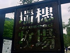 -瑞穗牧场