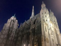 -斯蒂芬主教座堂(Stephansdom)