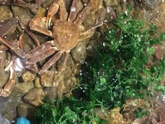 -綱元·海鲜豆捞(明州里店)