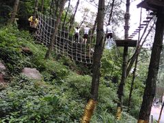 -梦幻奥陶纪景区