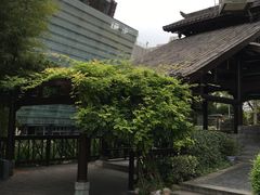 -活水公园