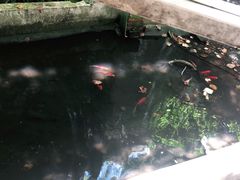 -宅里香.自然餐厅(湘大店)