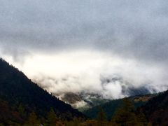 -黄龙山原始森林景区