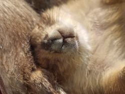 -Zoolung Zoolung动物主题公园(海信广场店)