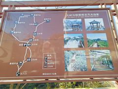 -大岭沟猕猴桃谷风景区
