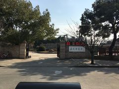 -嘉定紫藤园