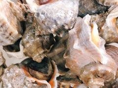 -宾朋海鲜美食餐厅·特色美食(兴海路店)