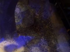 -绿茶餐厅(昆明世纪金源店)