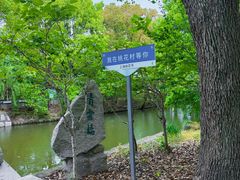 -南汇桃花村