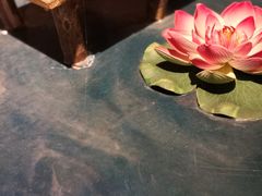 -成都泰迪熊博物馆