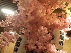 -6号玩家桌游吧(汉街店)