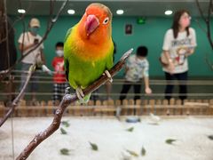 -上海昆虫博物馆