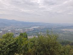 -风云岭森林公园
