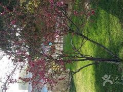 iphone_upload_pic-迎泽公园